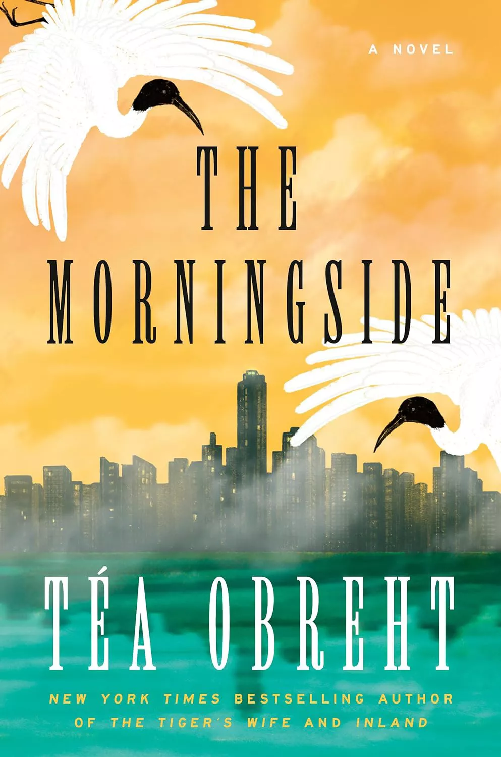 'The Morningside' by Tea Obreht